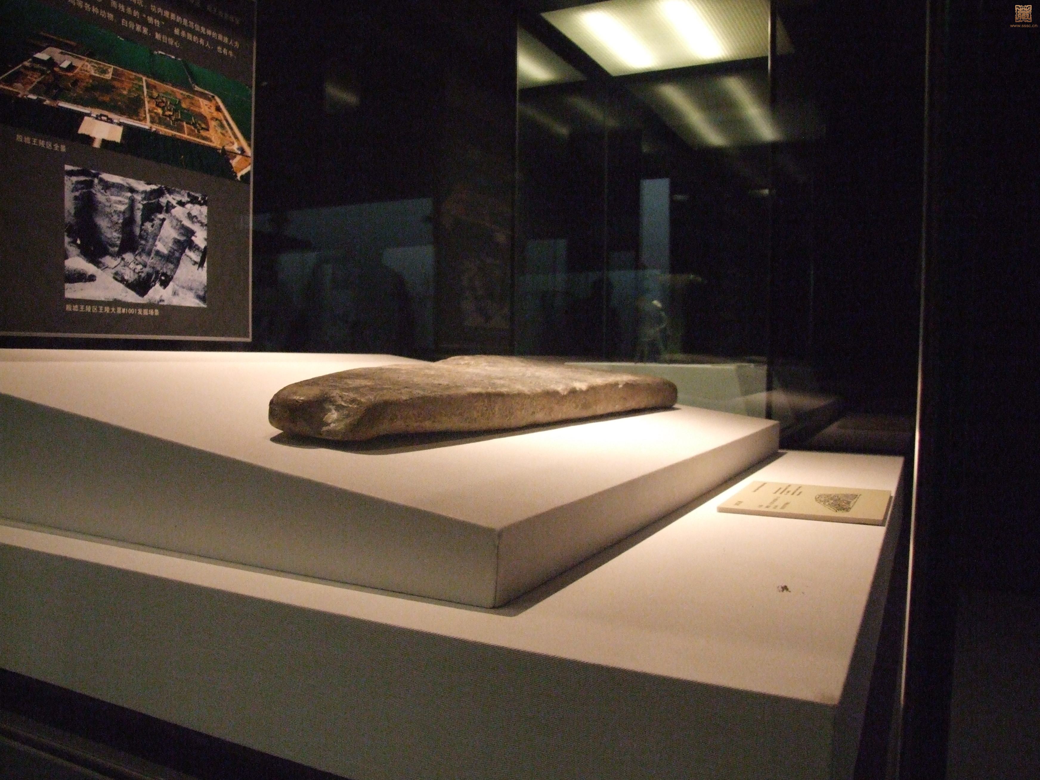 DSCF6631.JPG