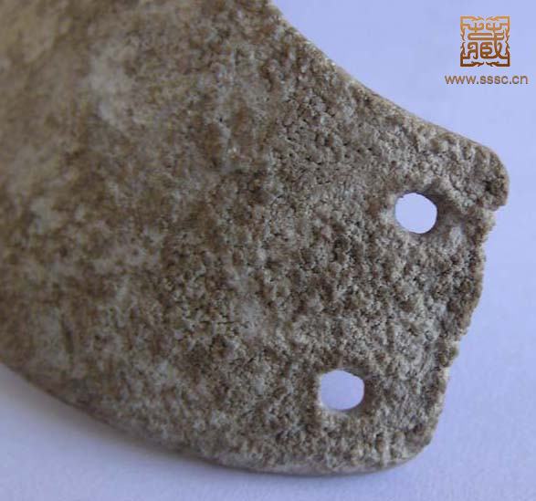 照片 2252.jpg