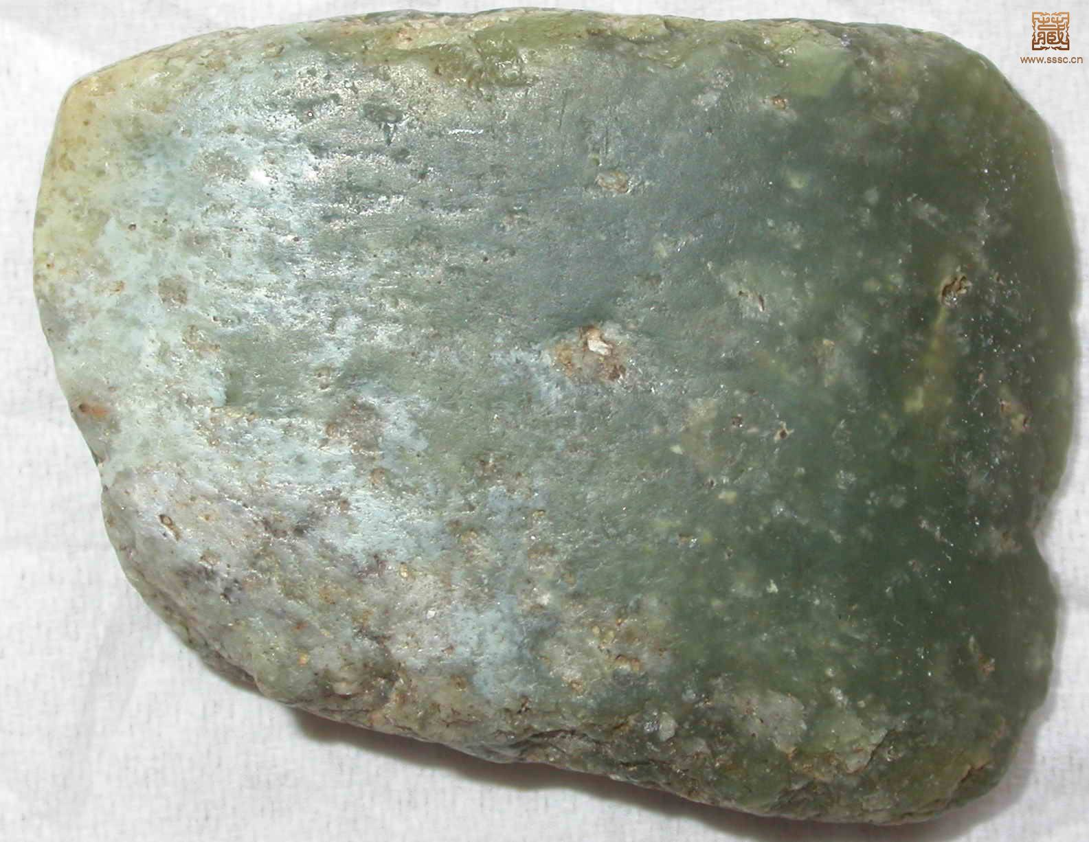 照片 2338.jpg