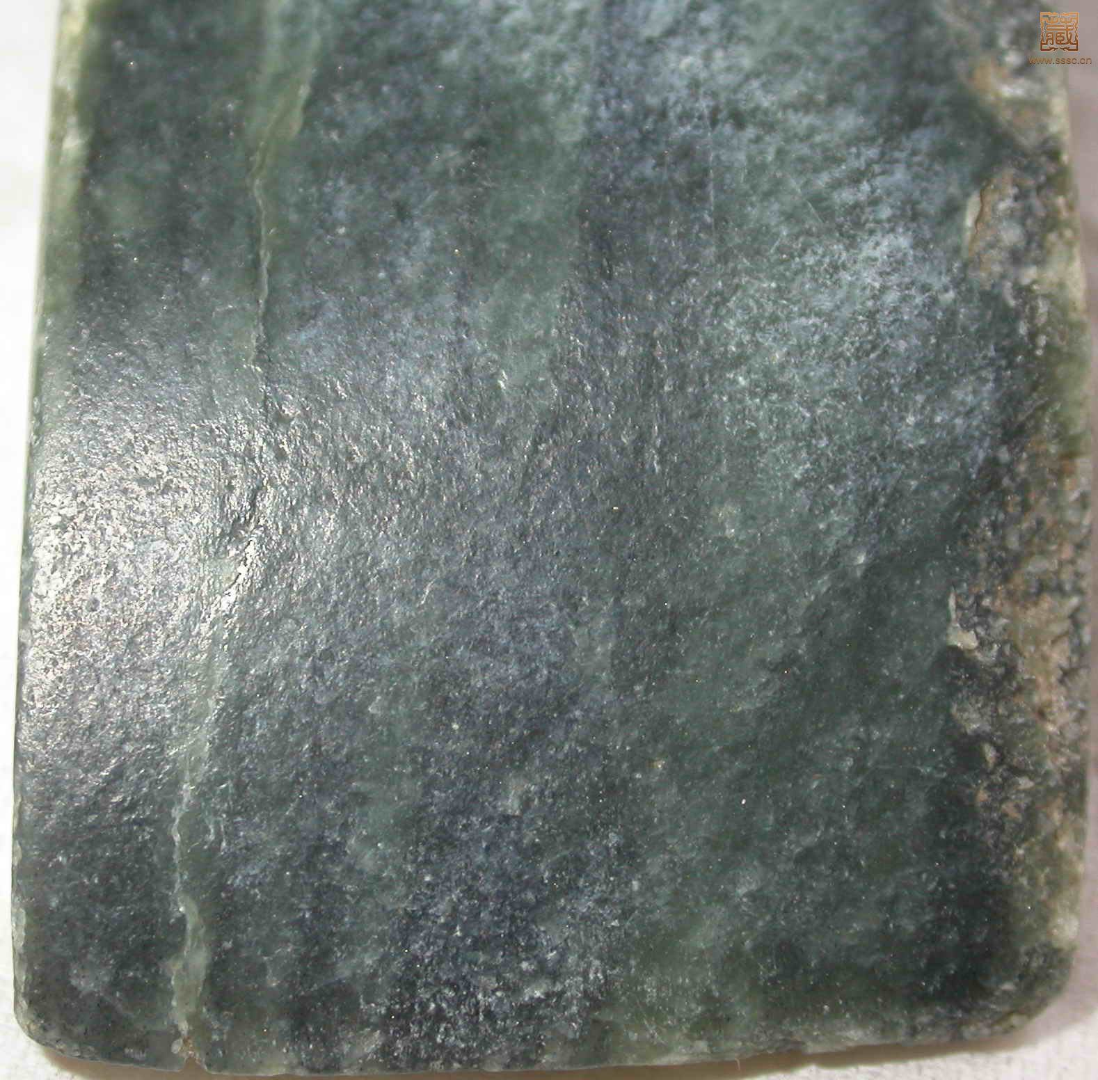 照片 2339.jpg