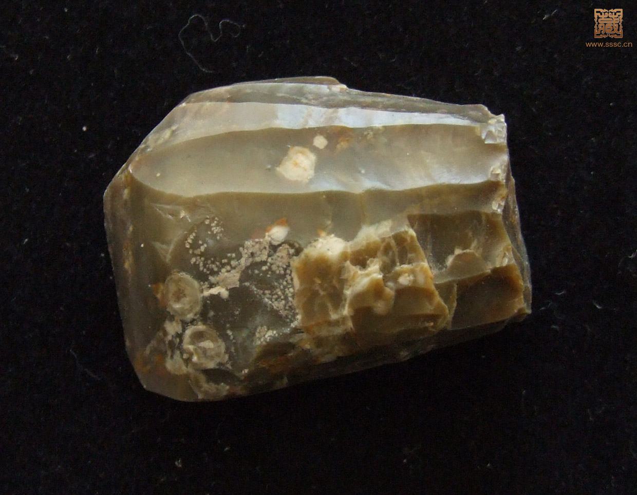 DSCF7695-.jpg