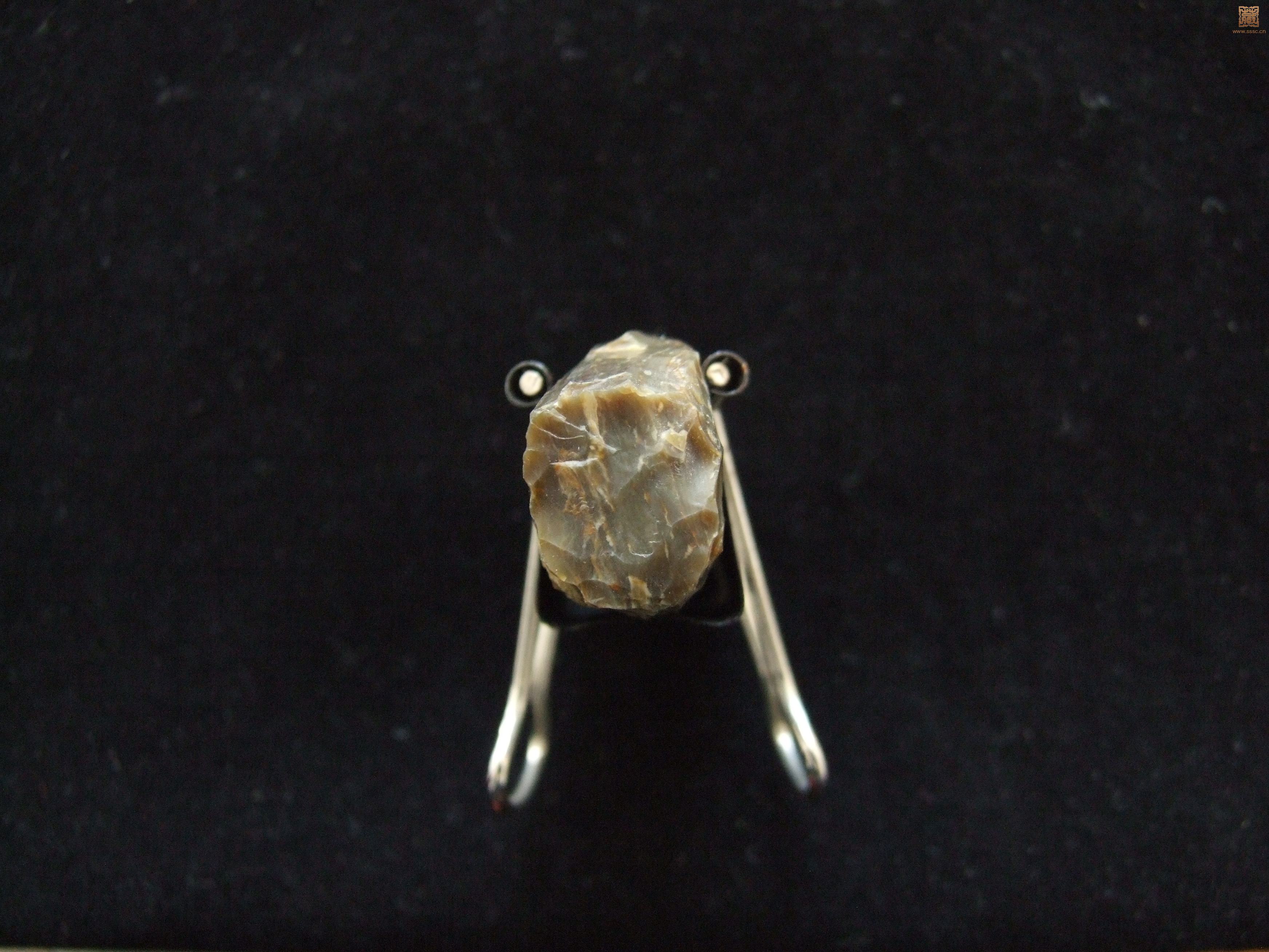 DSCF7698.JPG