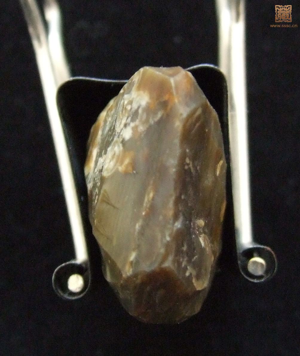 DSCF7701-.jpg