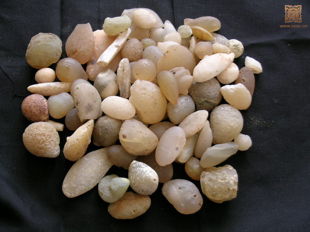 复件 照片 1115.jpg