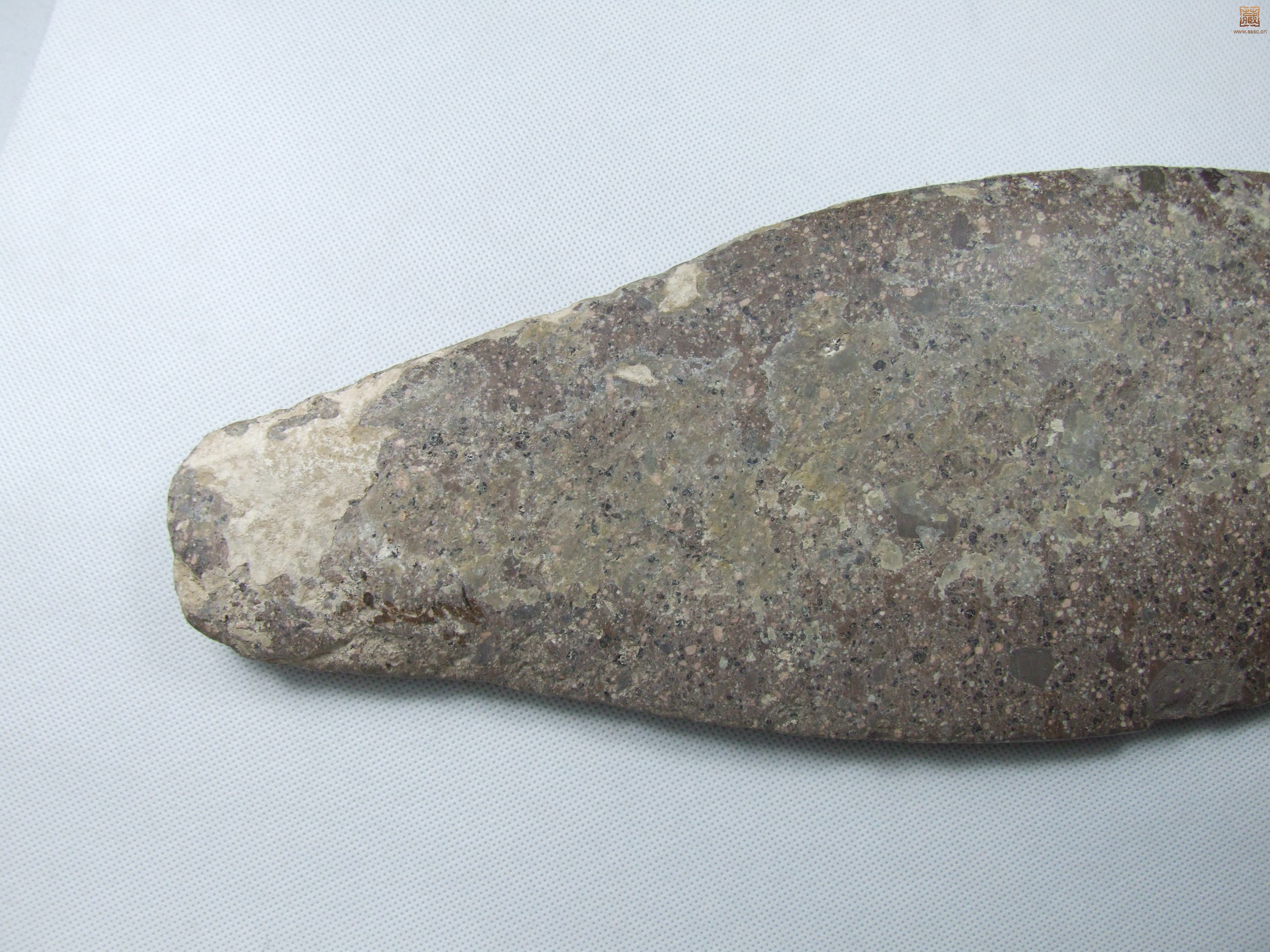 DSCF5216.JPG