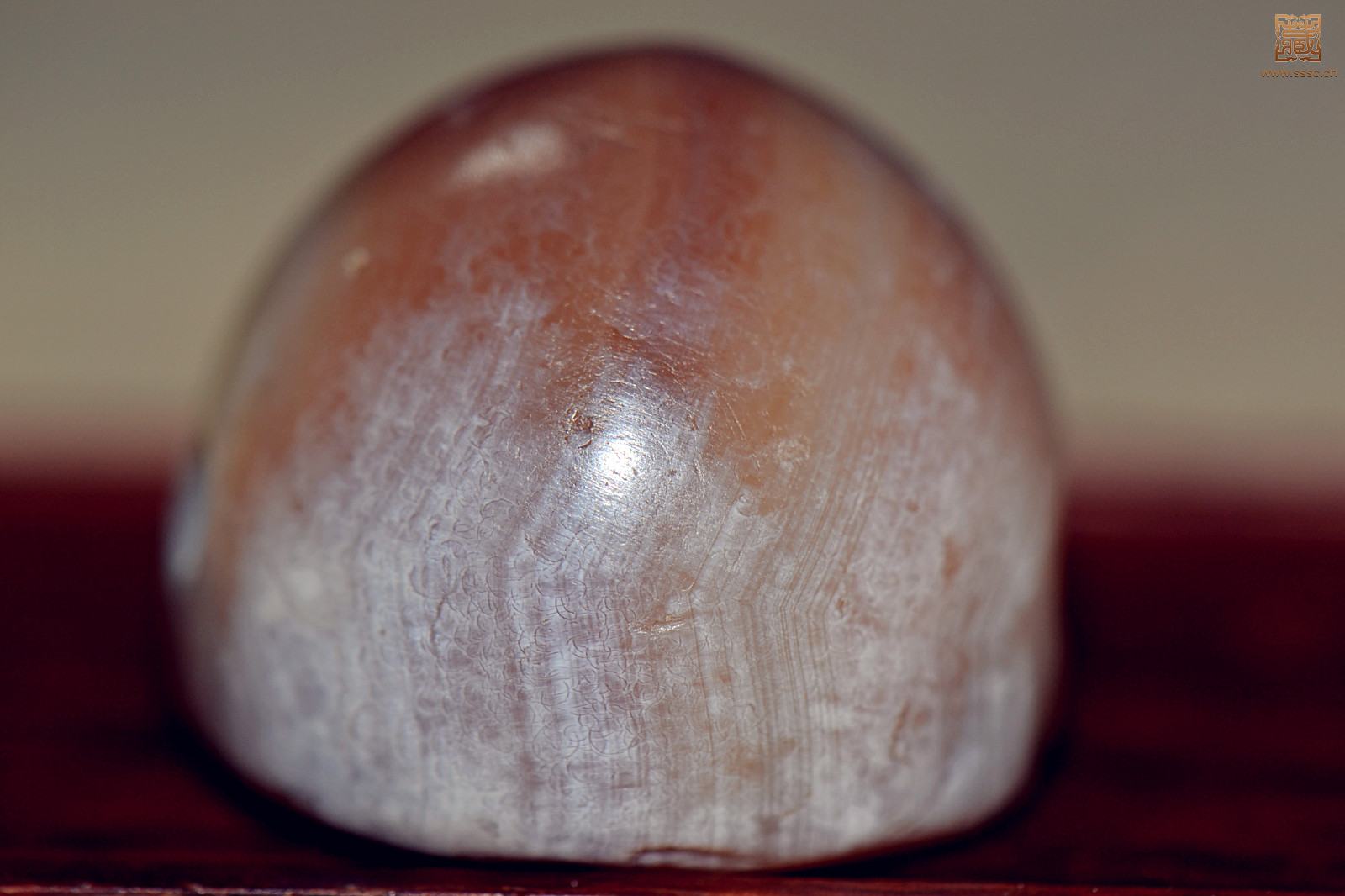 DSC_0005_meitu_15.jpg