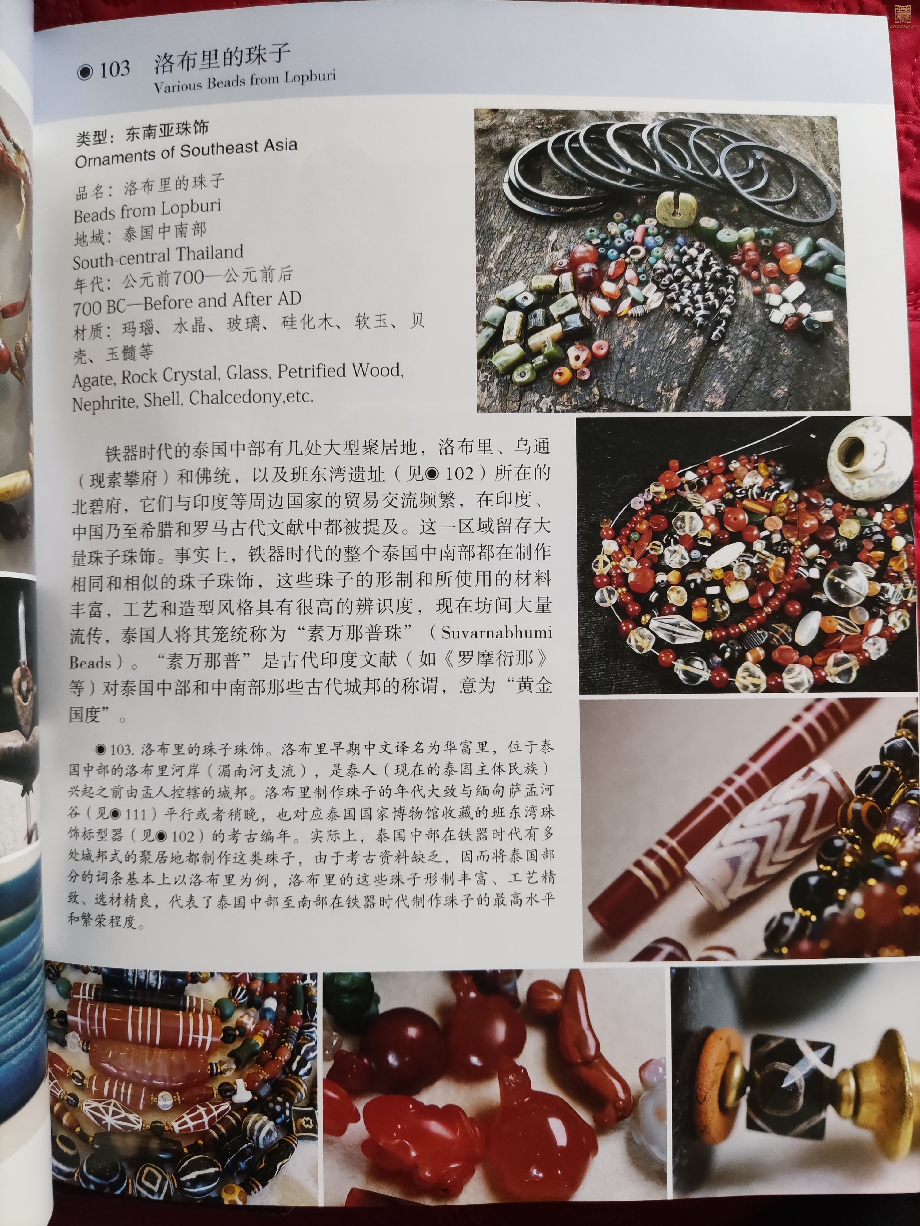 **图片_202211241023341.jpg