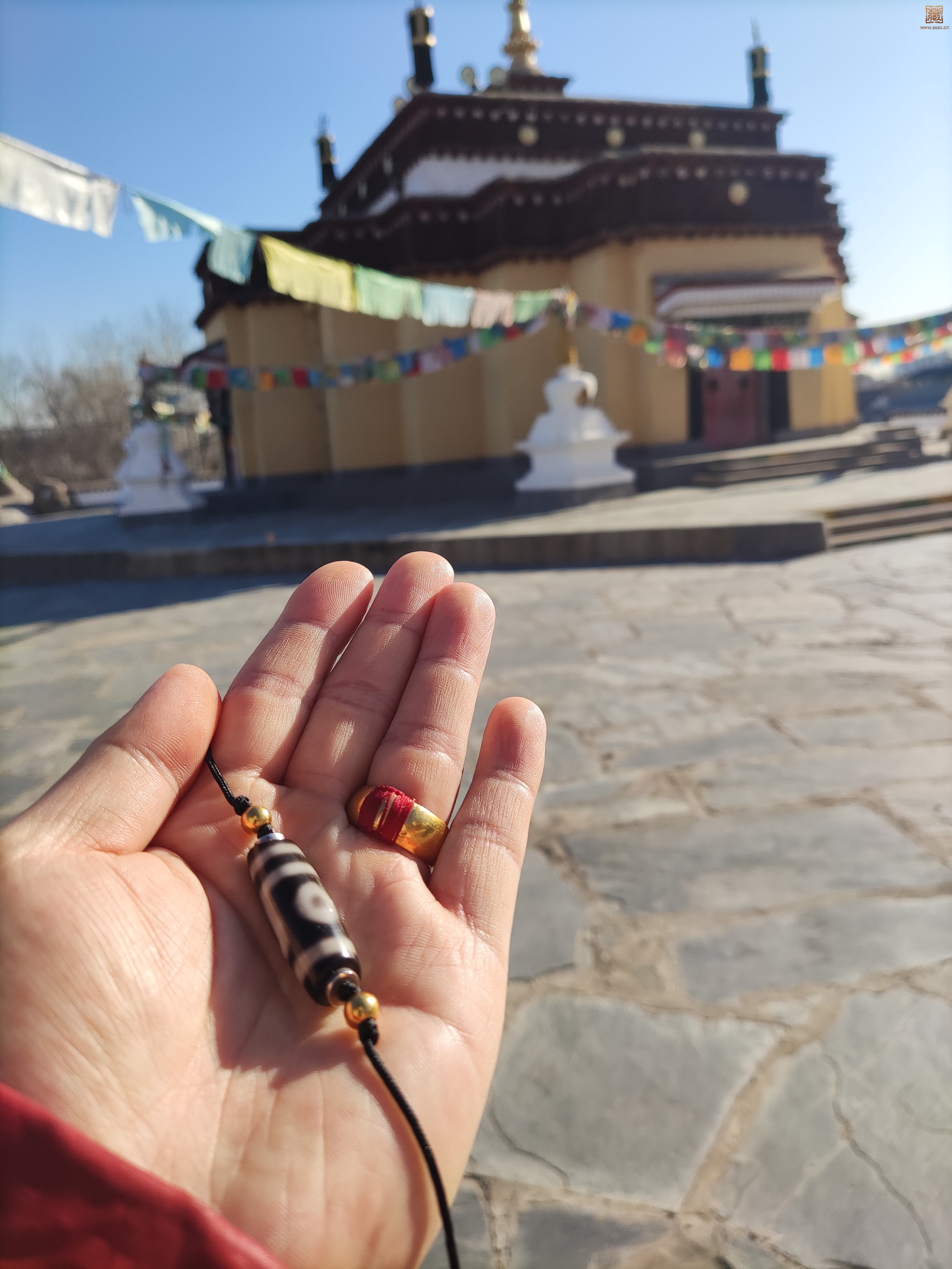 **图片_202211241433577.jpg