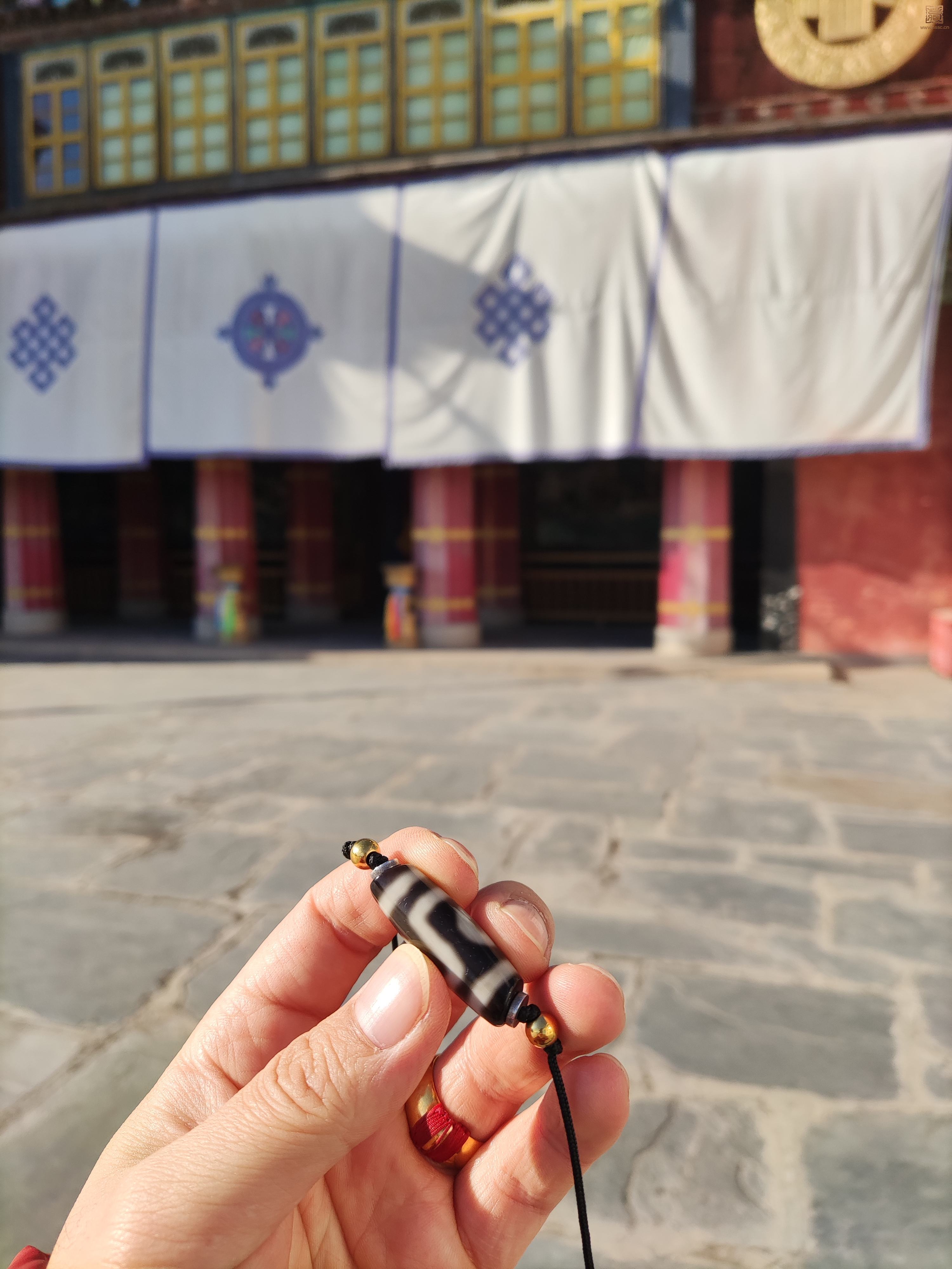 **图片_2022112414335710.jpg