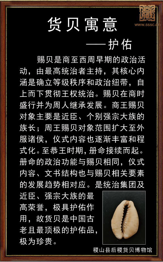 mmexport1680518035429.png