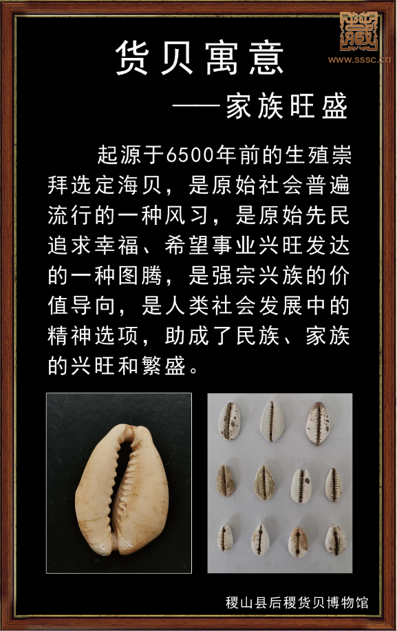 mmexport1680518023896.png