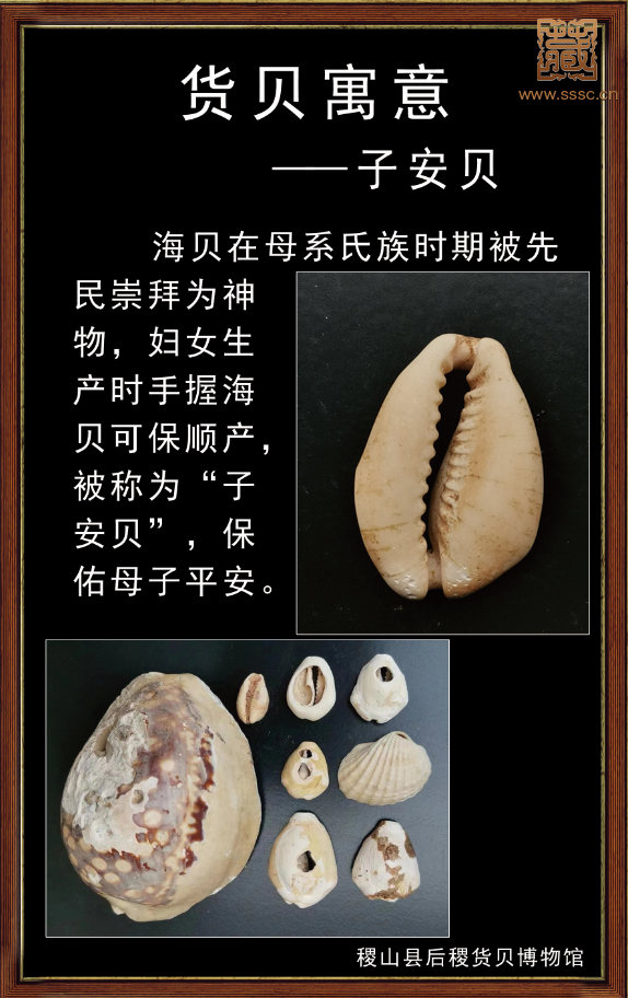 mmexport1680518030999.png