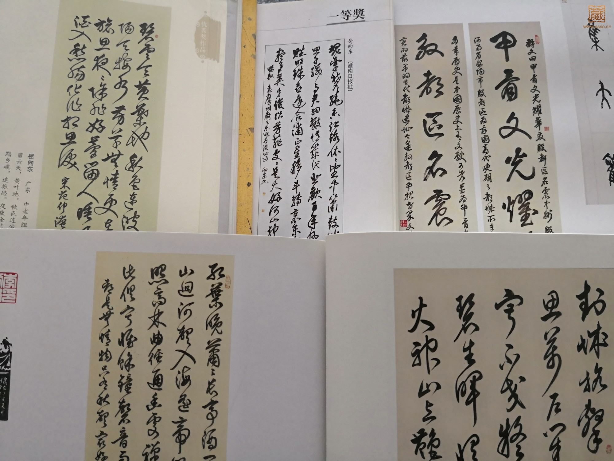 获奖发表.jpg