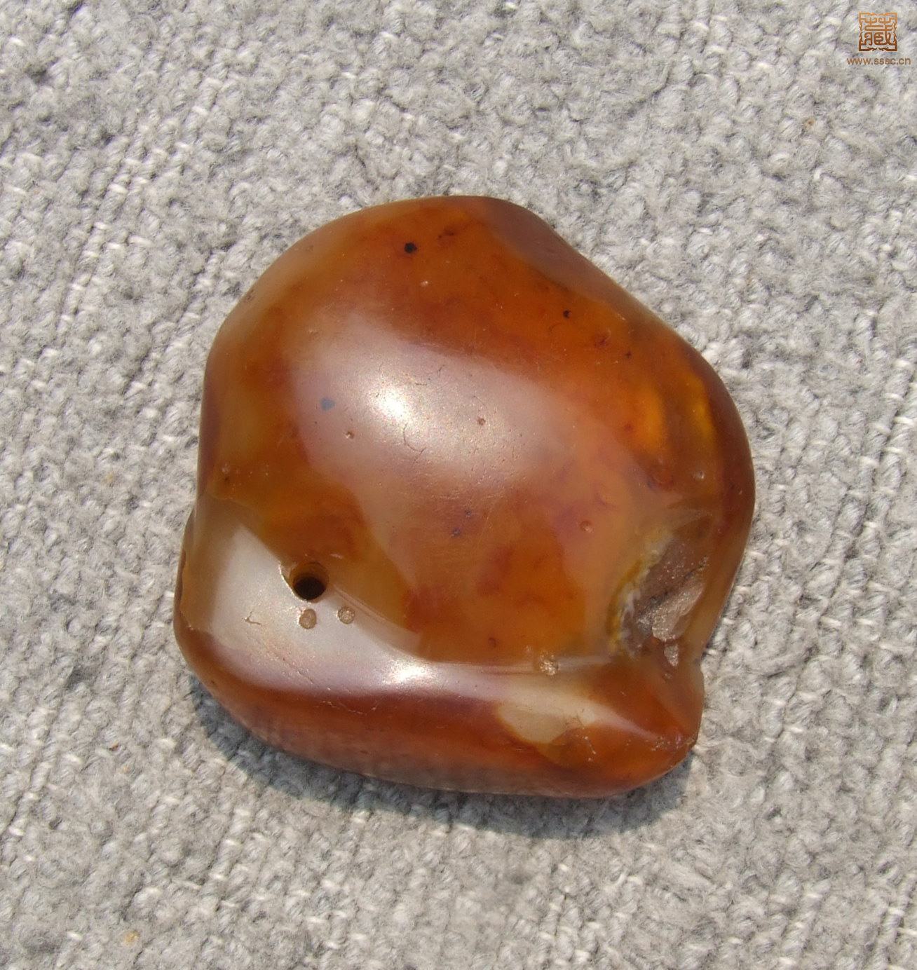 DSCF8076-.jpg