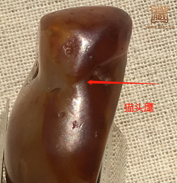 **图片_20180323085305.png