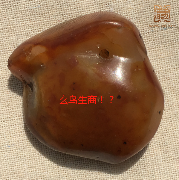 **图片_20180323092838.png