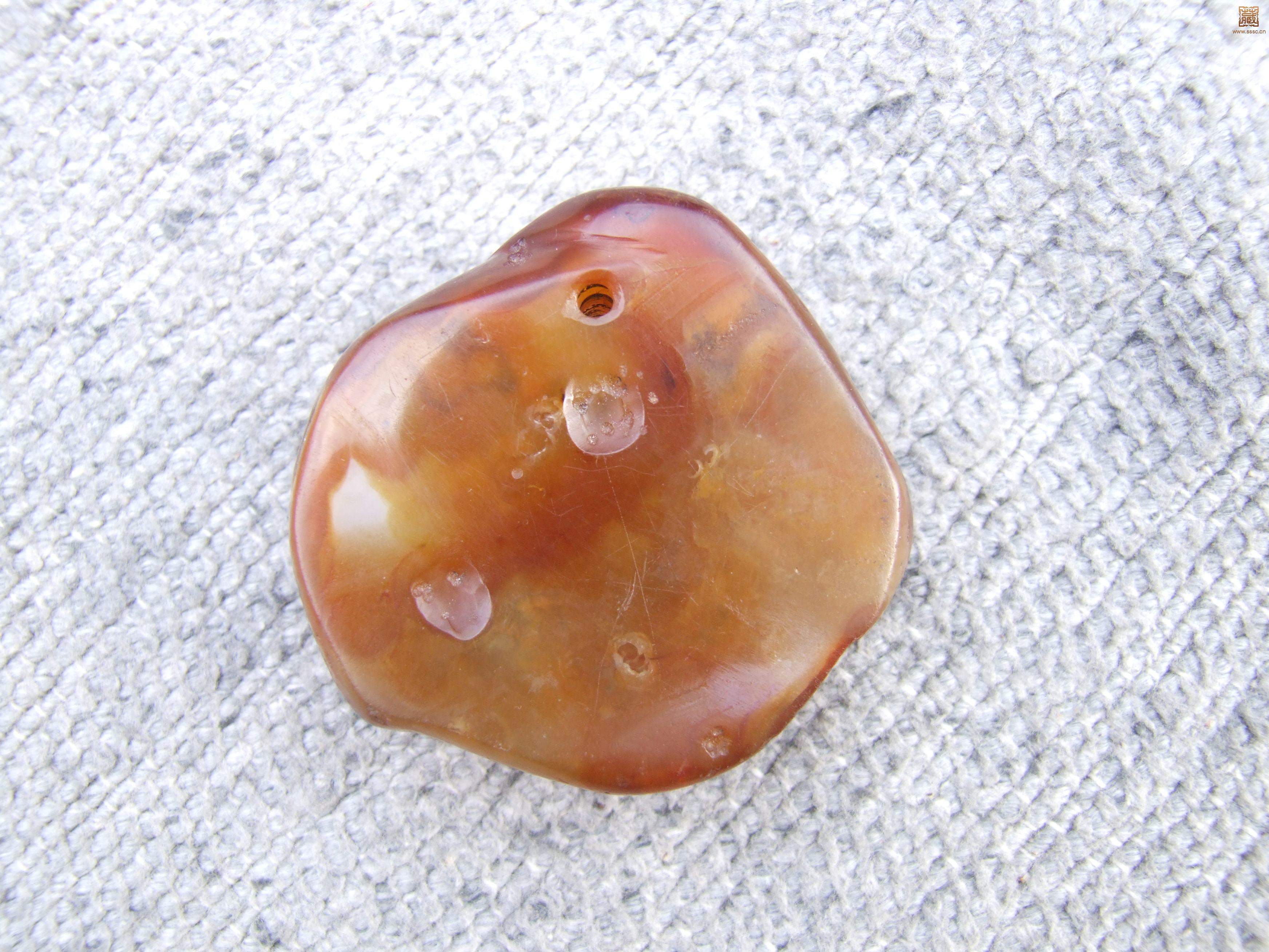 照片 010.jpg