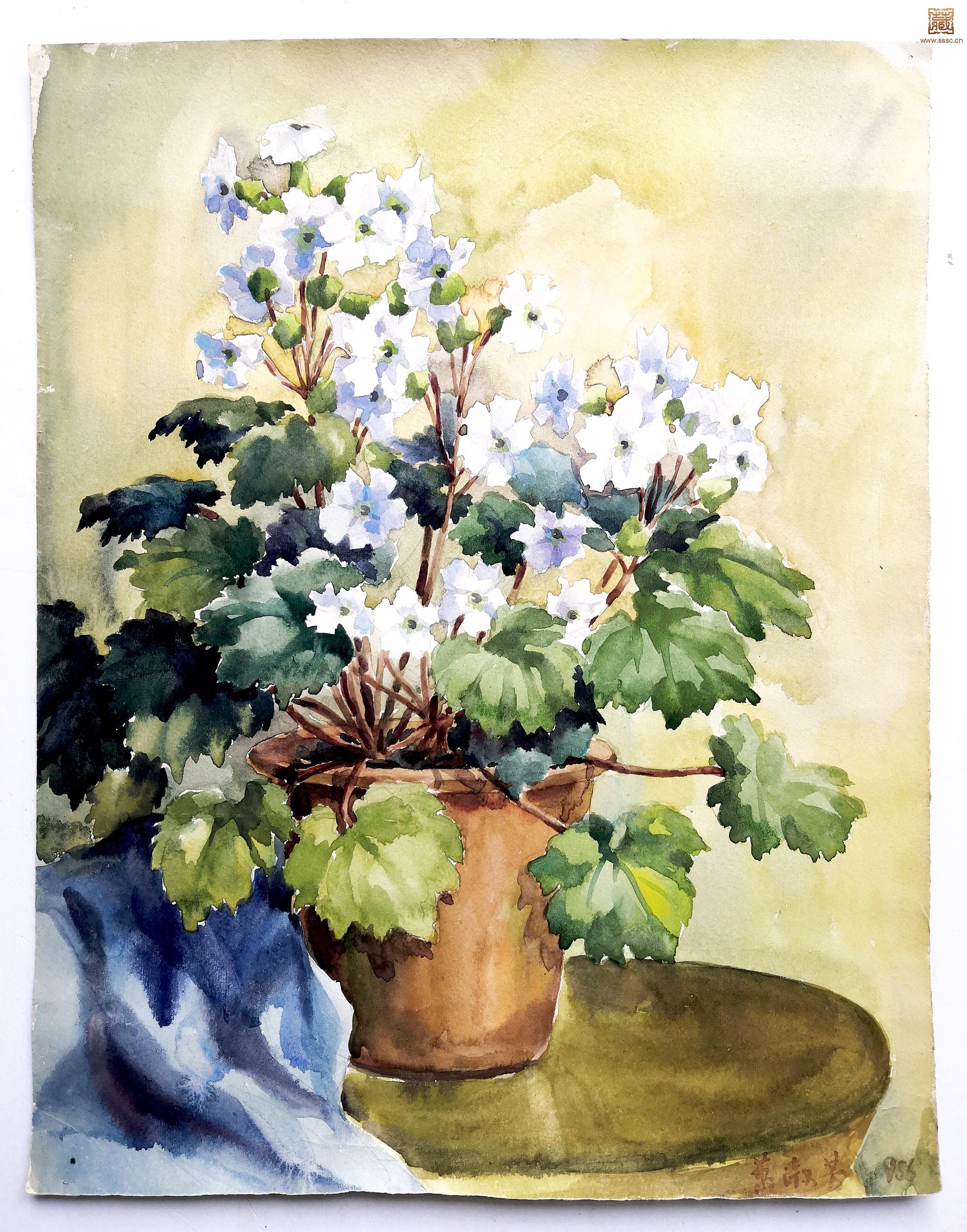 14  萧淑芳《盆花》.jpg