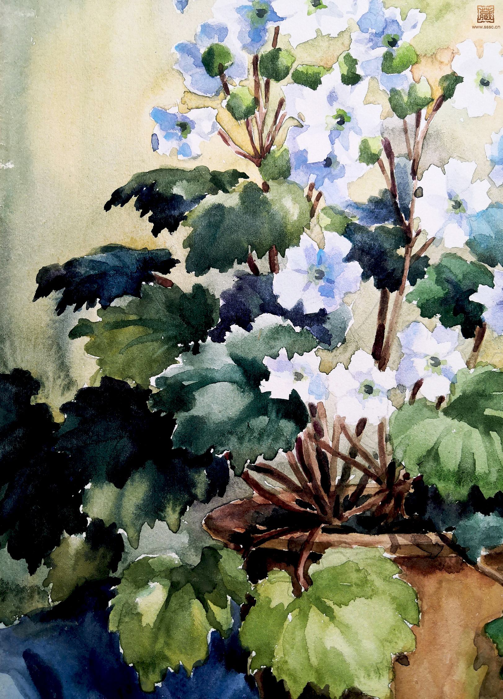 14  萧淑芳《盆花》局部之二.jpg