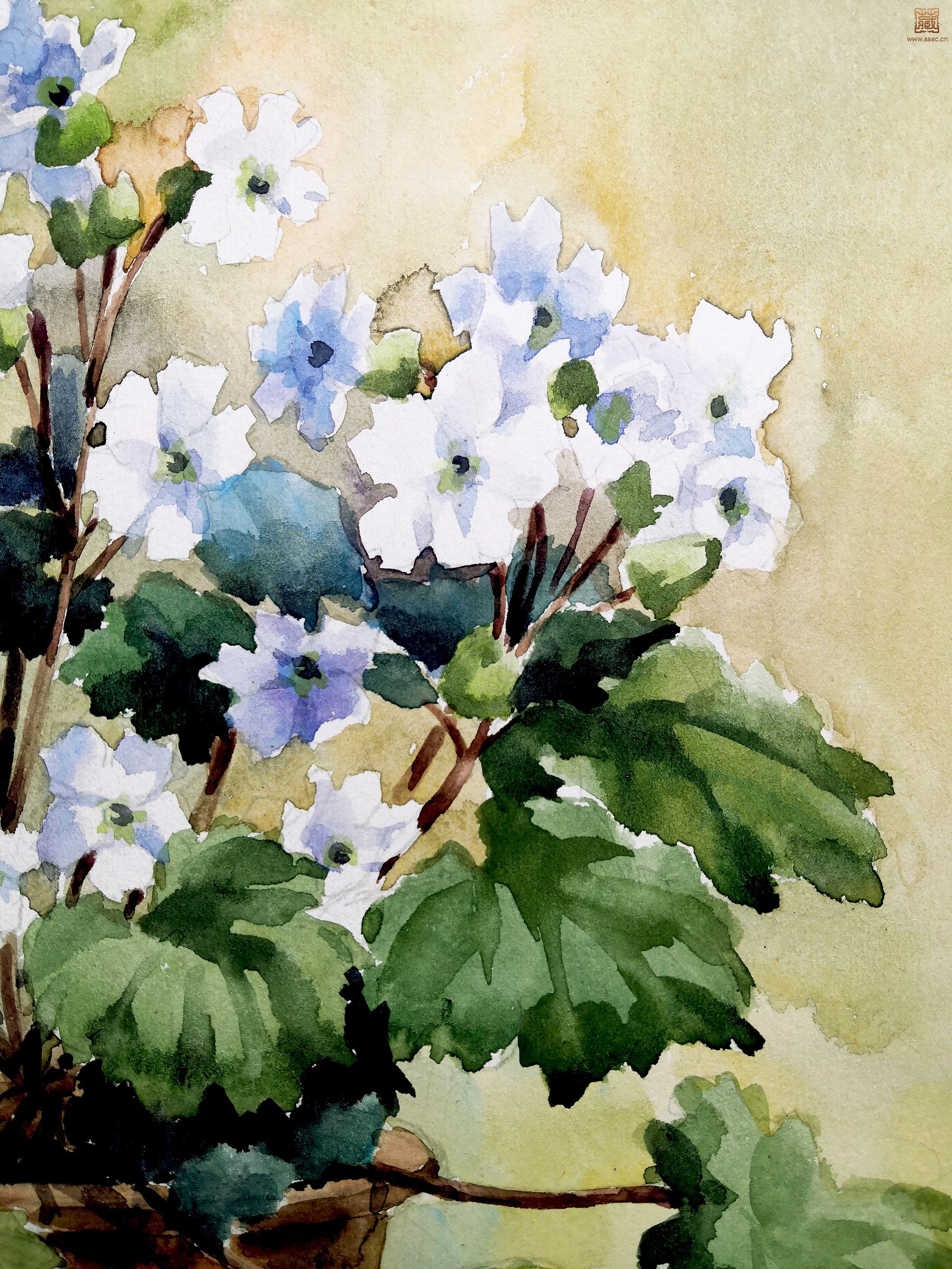 14  萧淑芳《盆花》局部之三.jpg