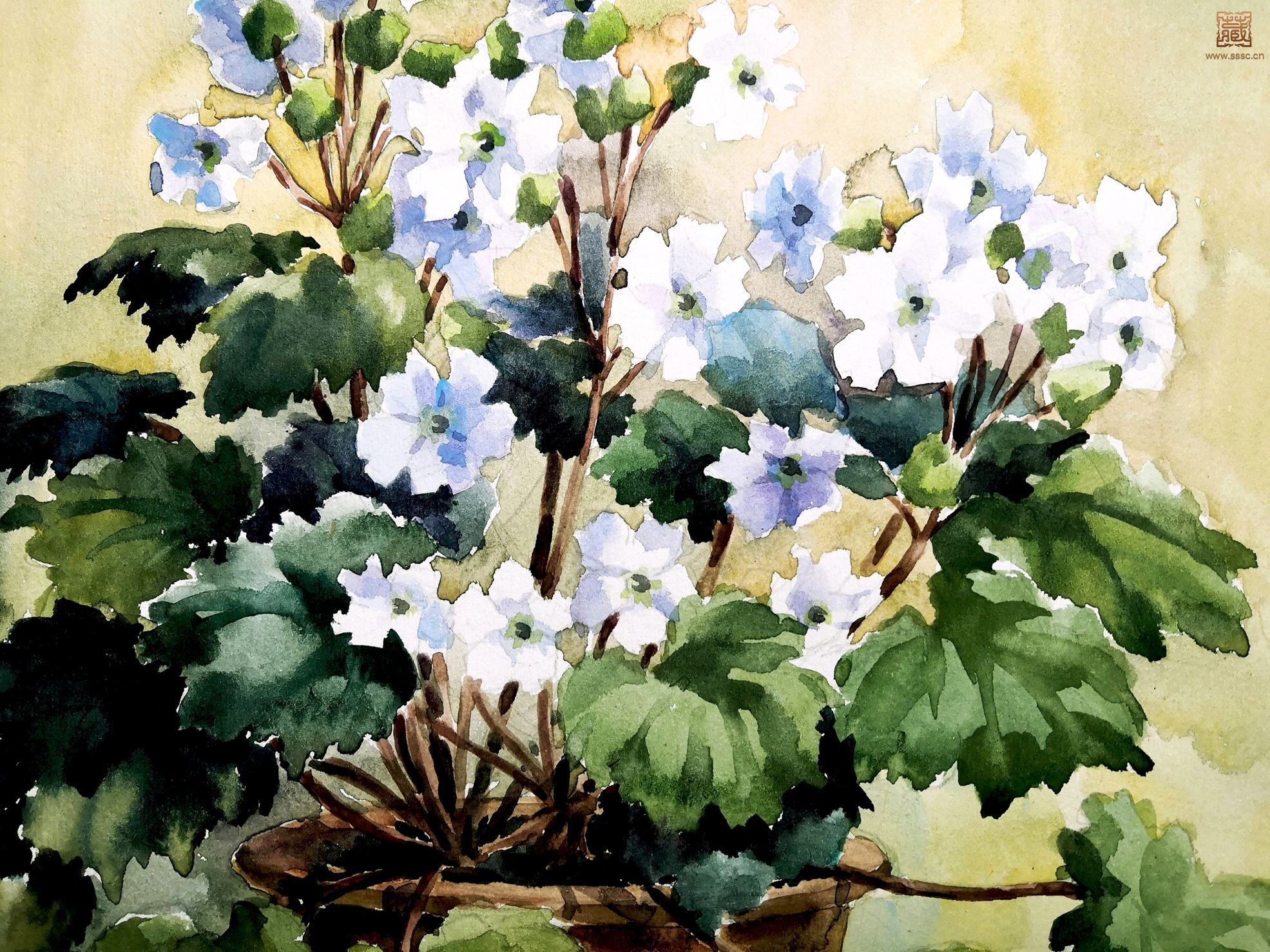 14  萧淑芳《盆花》局部之四.jpg