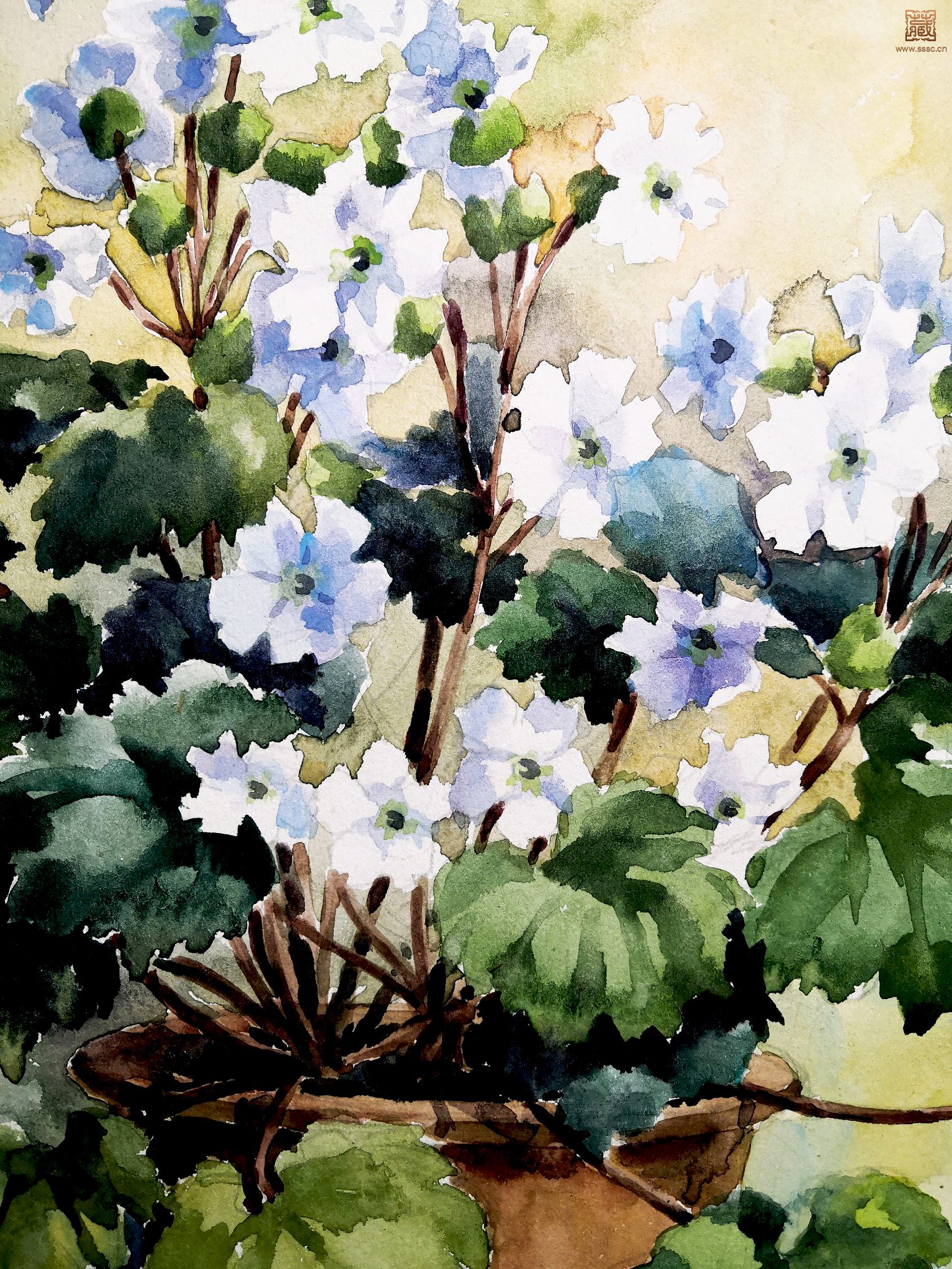 14  萧淑芳《盆花》局部之五.jpg