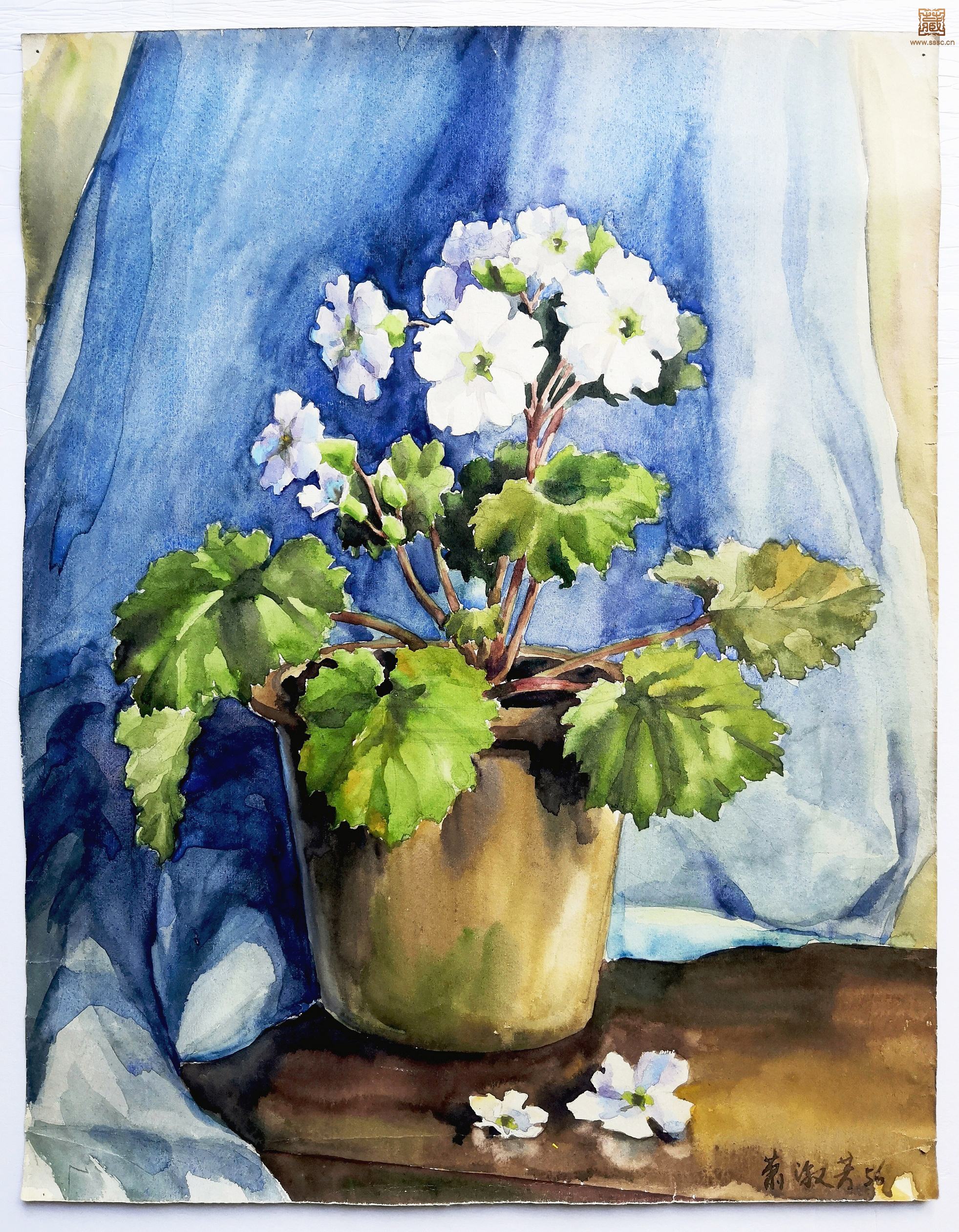14  萧淑芳《盆花之二》.jpg