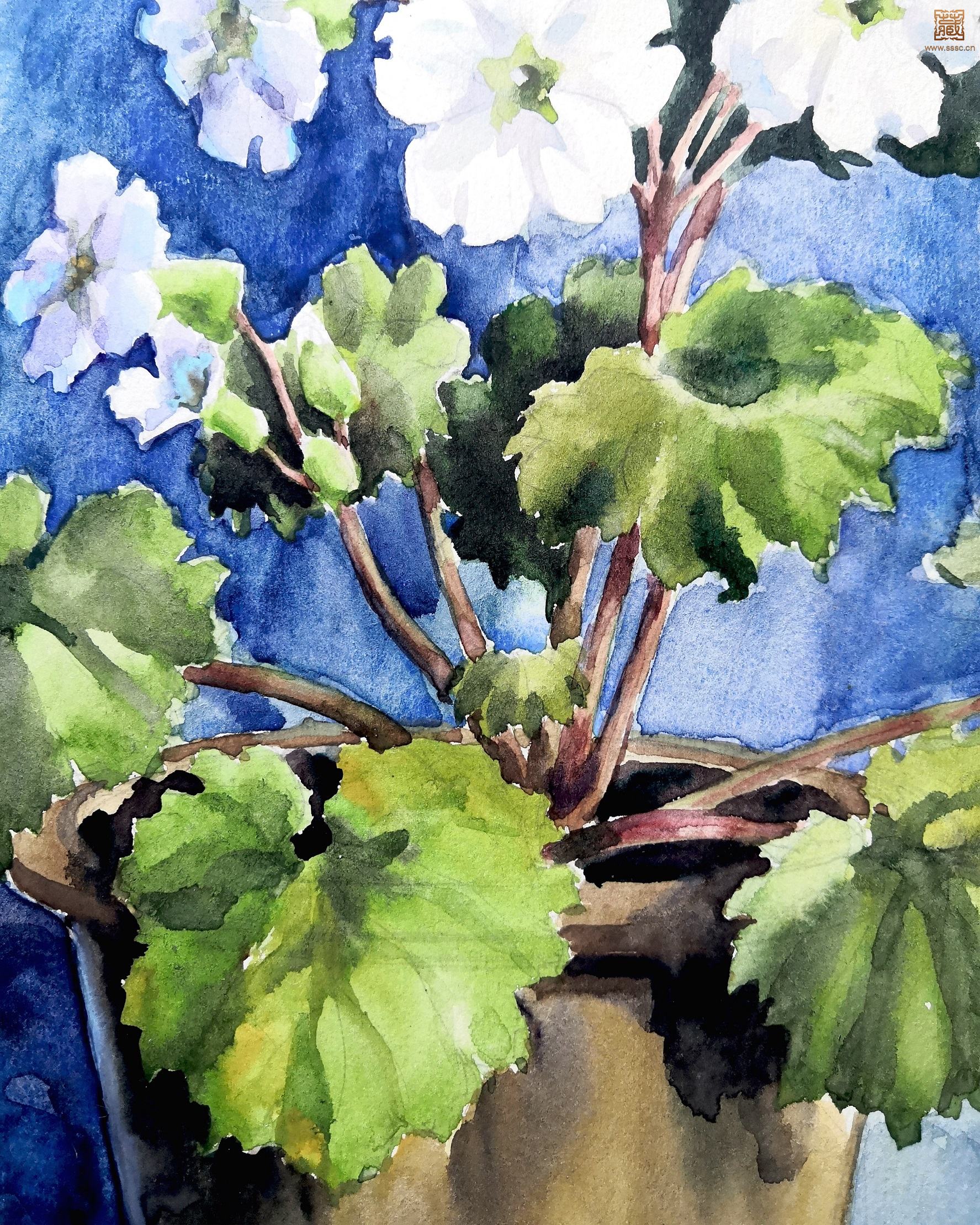 14  萧淑芳《盆花之二》局部之二.jpg
