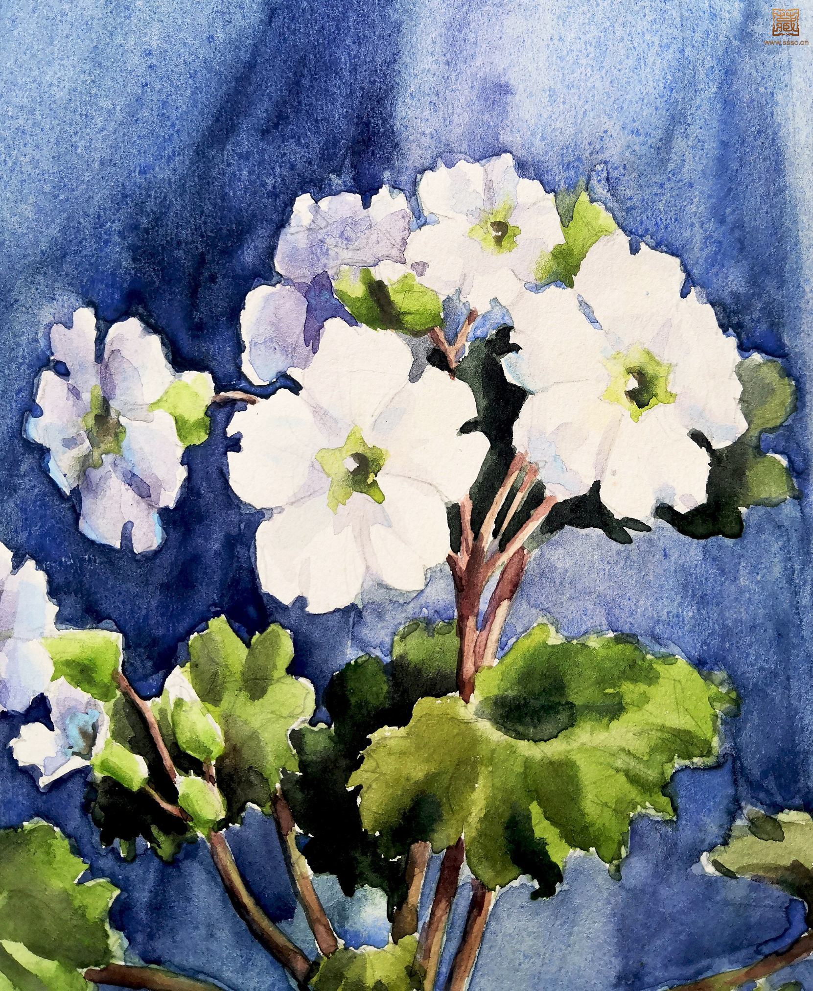 14  萧淑芳《盆花之二》局部之一.jpg