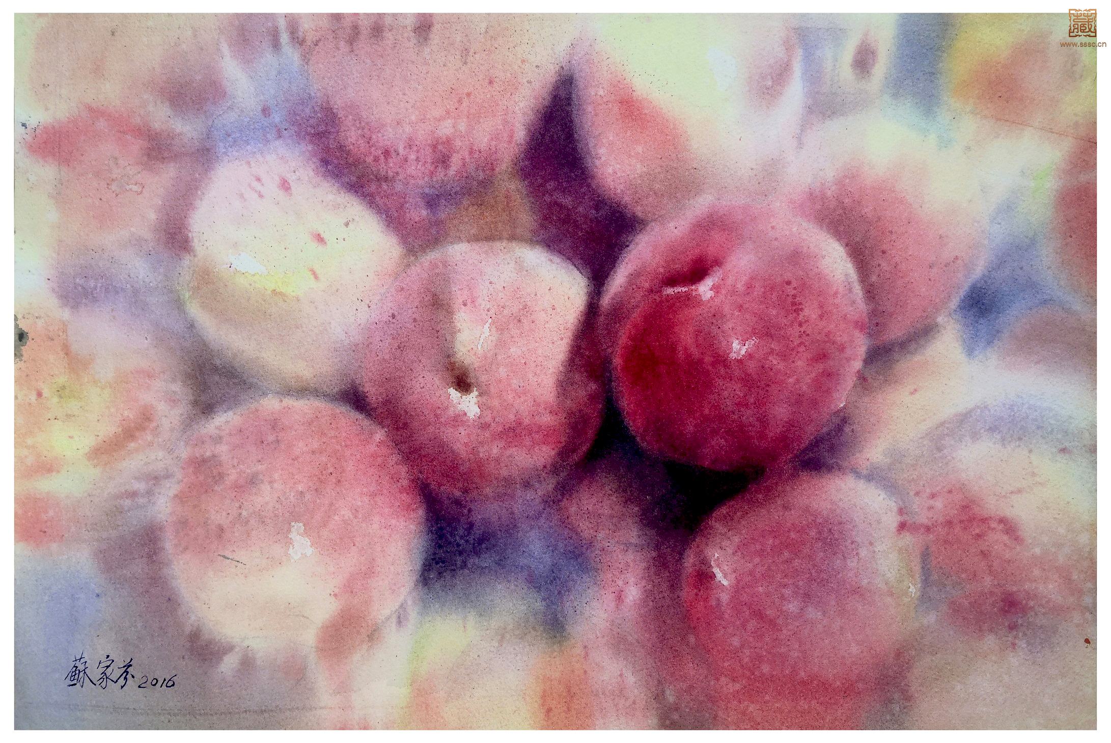 103  苏家芬《蜜桃熟了》水彩 33×49cm.jpg
