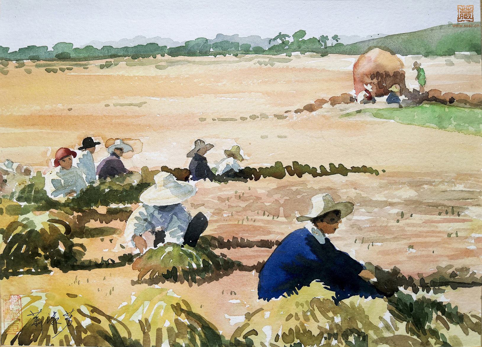 18  萧淑芳《打谷场上》水彩 23×32cm  约1960年代.jpg